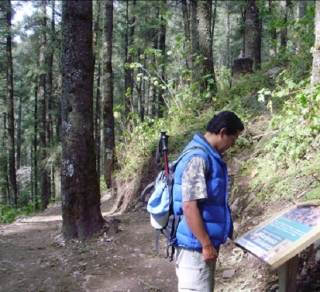 Caminatas en el parque